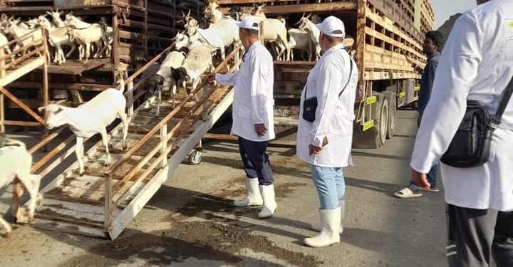 وزير الزراعة يتابع أعمال البعثة البيطرية المصرية للإشراف على الهدي والأضاحي بالمملكة العربية السعودية