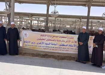 الأوقاف تواصل تسلم رؤوس الأضاحي المستوردة