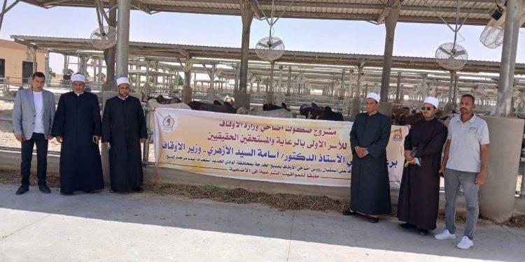 الأوقاف تواصل تسلم رؤوس الأضاحي المستوردة