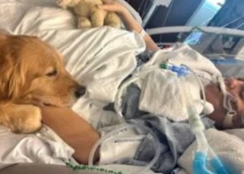 كلب ينقذ مريضة