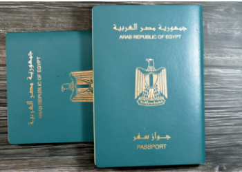 عودة الجنسية المصرية إلى 42 مواطنًا بقرارات وزارية جديدة