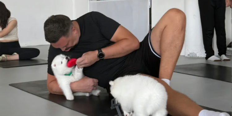 يوجا الكلاب.. موضة الاسترخاء الجديدة في تايلاند