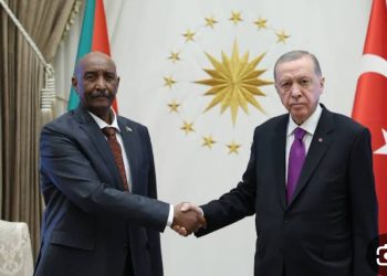 البرهان يبحث تعزيز التعاون ومستجدات الأزمة السودانية مع أردوغان