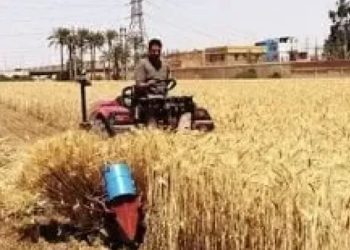 الزراعة تطلق أول مختبر حي لسلسلة قيمة القمح بأحدث التقنيات العالمية في الإرشاد الزراعي