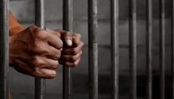 السجن المشدد 10 سنوات لمتهمين بخطف طفل بالإسكندرية بعد إلغاء حكم البراءة