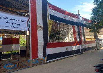 سوهاج تستكمل استعداداتها لانتخابات الإعادة لمجلس النواب 2025